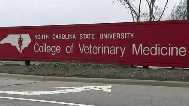 north-carolina-state-university-college-of-veterinary-medicine