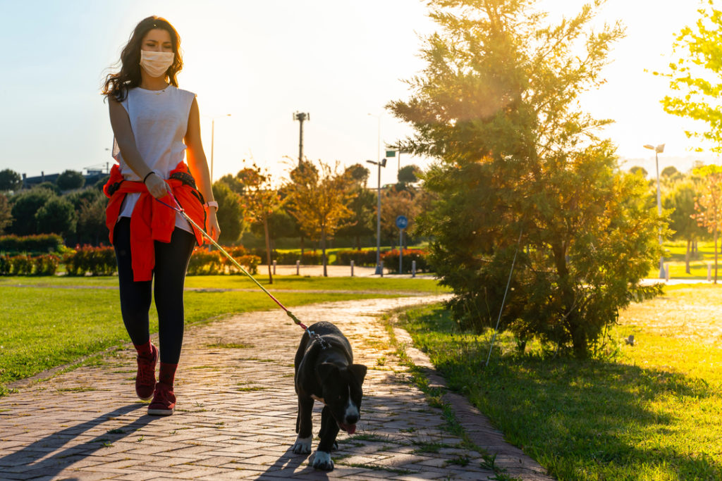 Social distancing while out with pet
