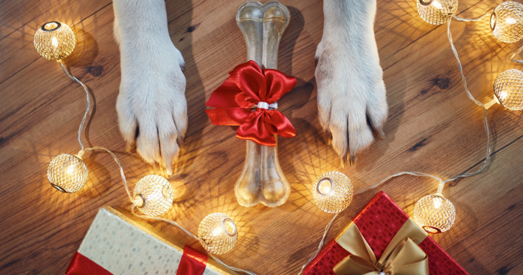 holiday theme dog paws with a bone and holiday lights
