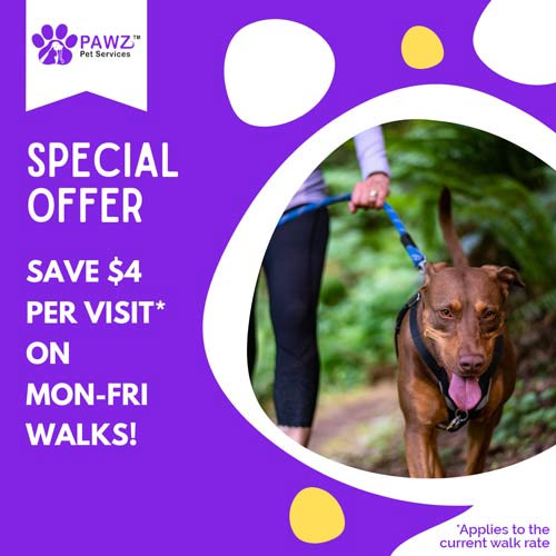 save on weekday walks